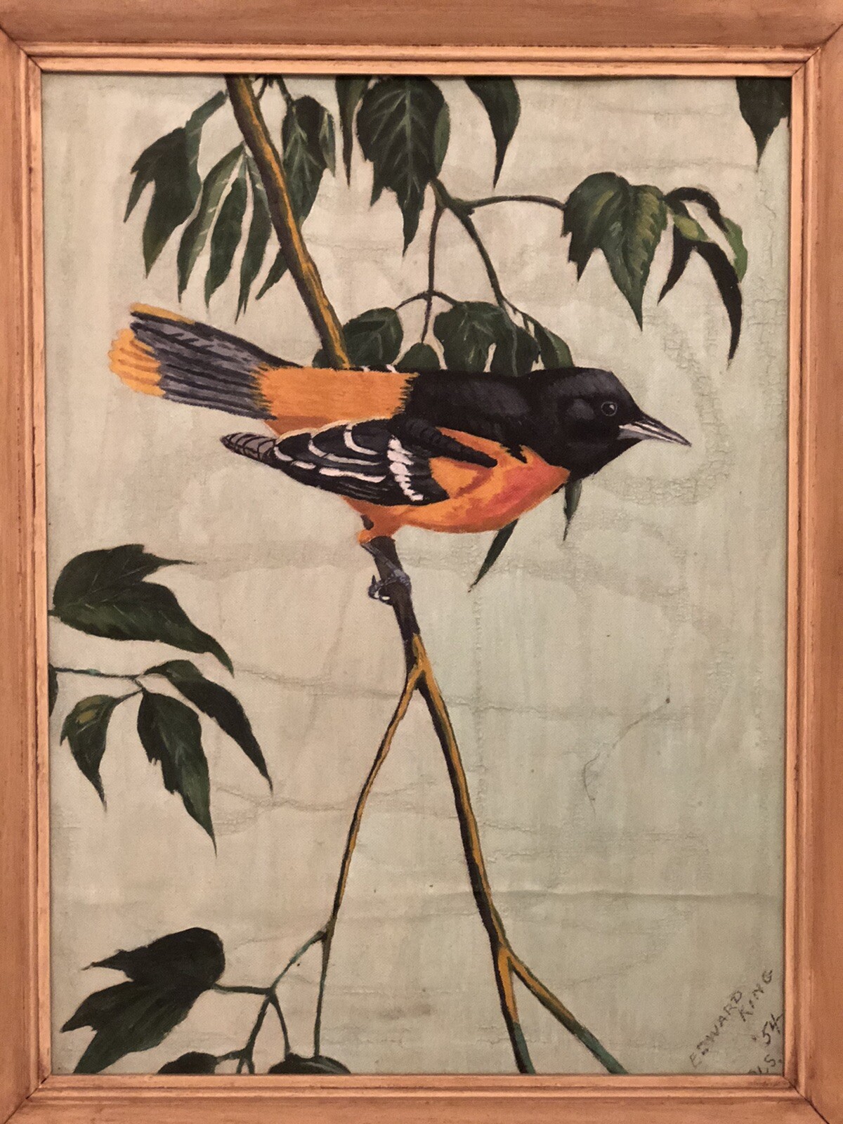 Vintage 1954 oil painting Baltimore Oriole, copy of Walter Weber. NOT PRINT