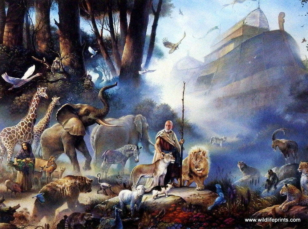 Tom Dubois The Invitation Noah’s Ark – 12″x9″ Open Edition Art Print