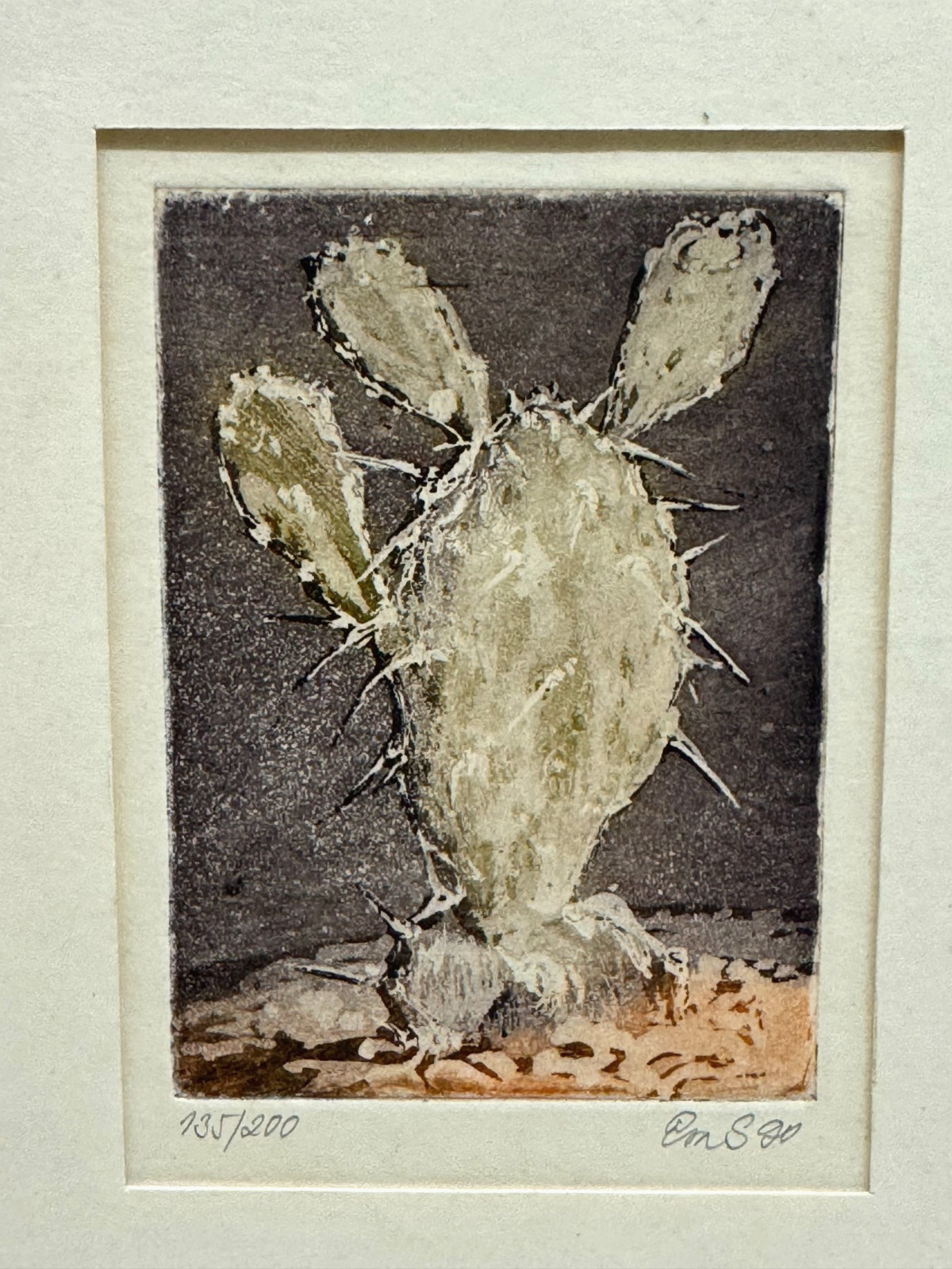 LOT OF 3 ORIGINAL CACTUS PLANT COLOR ETCHINGS ETCHING SIGNED NUMBERED CACTACEAE