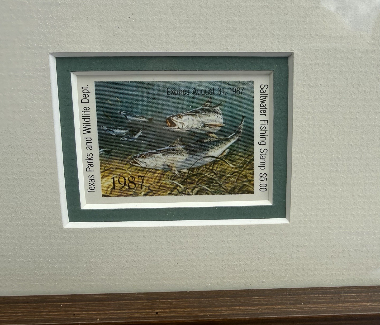 Framed Al Barnes 1987 Texas Saltwater Stamp And Print – 807/2700 Signed