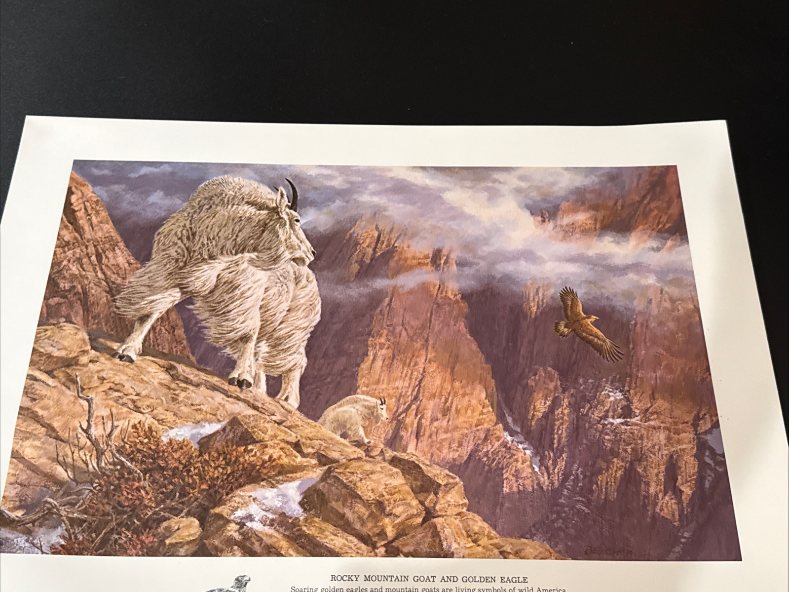 Remington Wildlife Lithograph Print 16×12 Rocky Mountain Goat & Golden Eagle ‘78